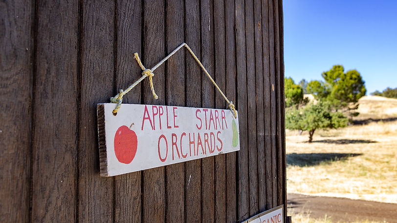 Apple Starr Orchard  | Julian, CA.